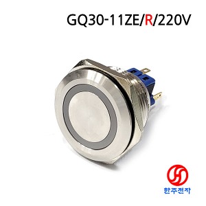 30파이 LED 푸쉬버튼 스위치 GQ30-11ZE/220V HJ-02217
